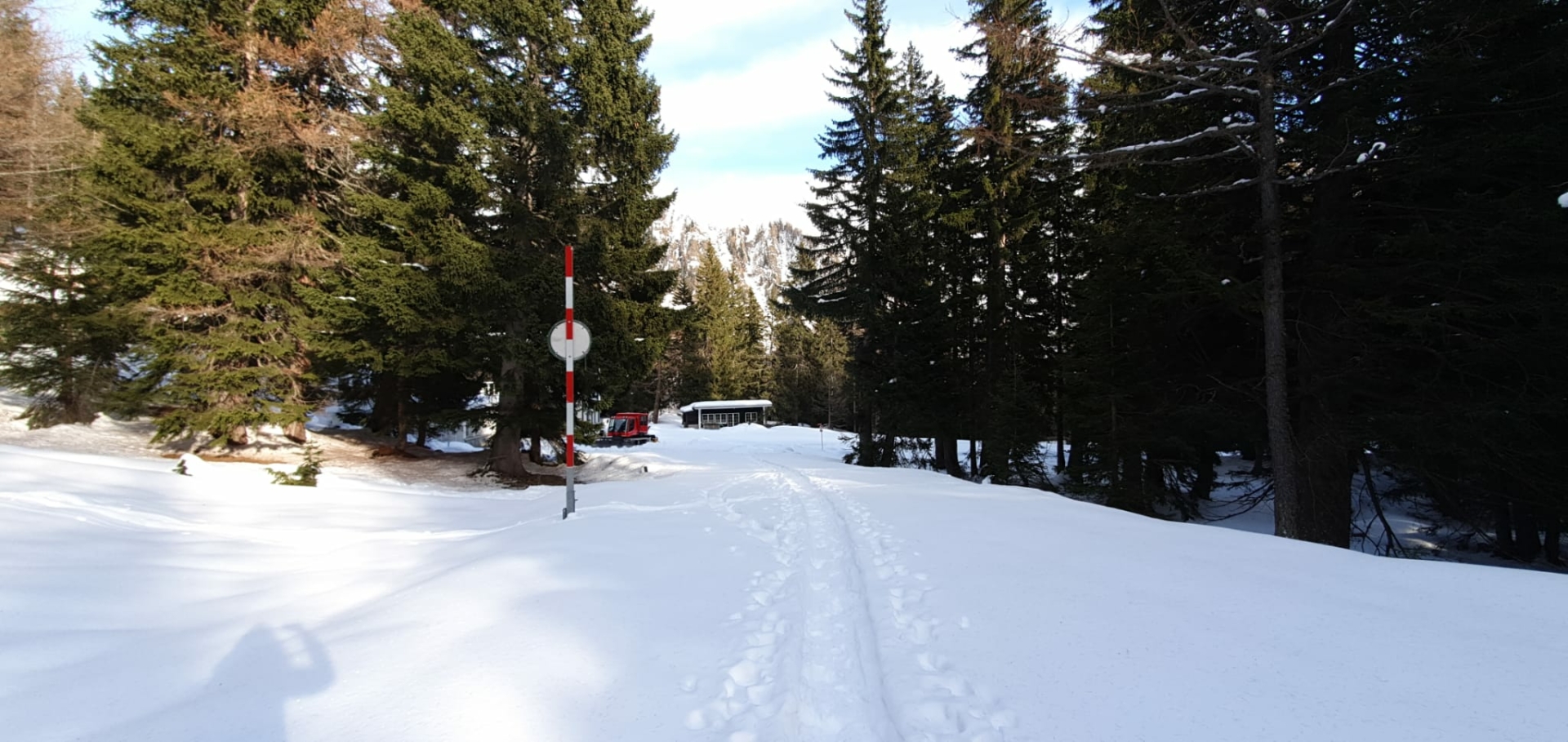 Neve tra i boschi